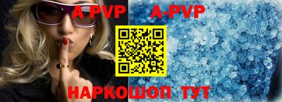 Альфа ПВП Новодвинск