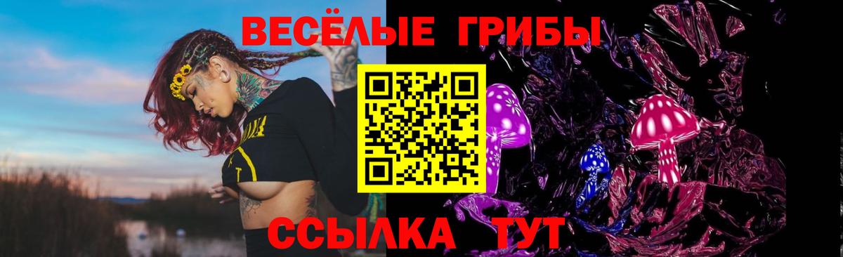 Псилоцибиновые грибы Psilocybe Ртищево